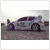 pegout 206 rc car