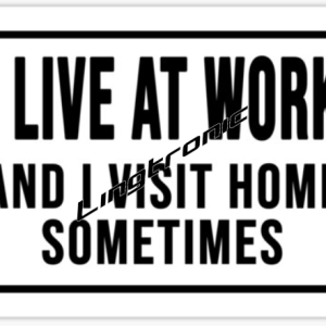 I live at work and visit home sometimes